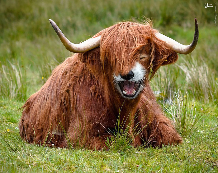 placeholder image 22